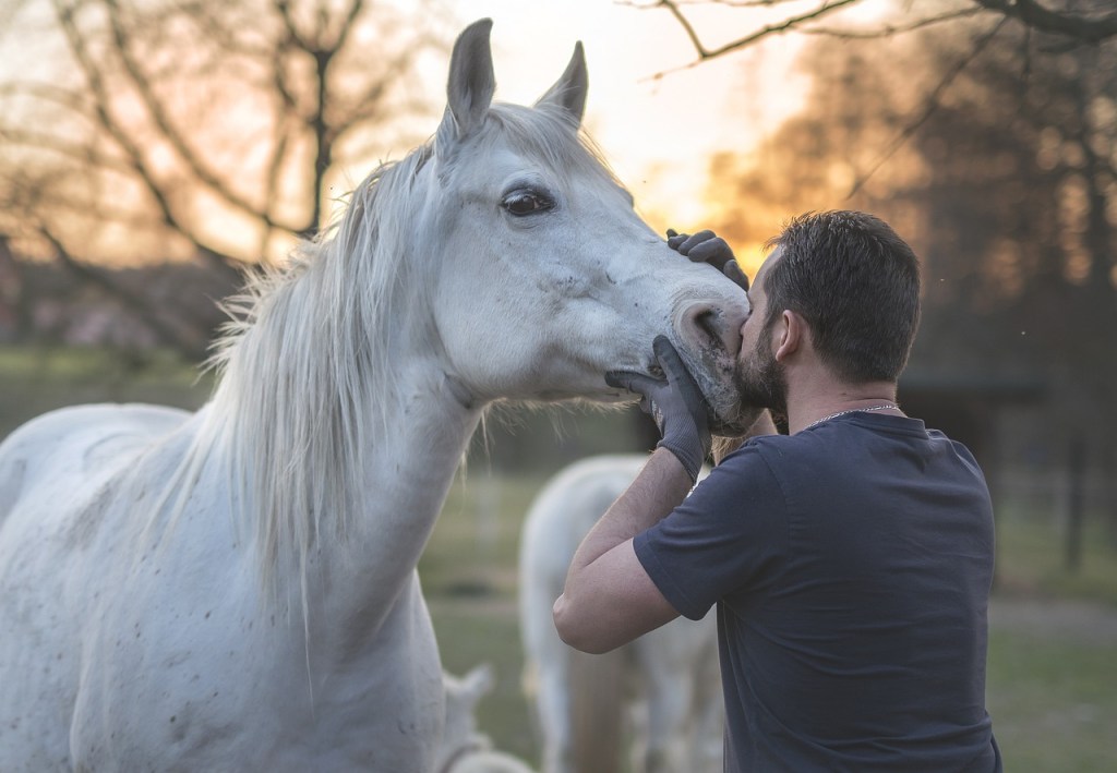 La psychothérapie assistée par le cheval : un lieu où être soi
